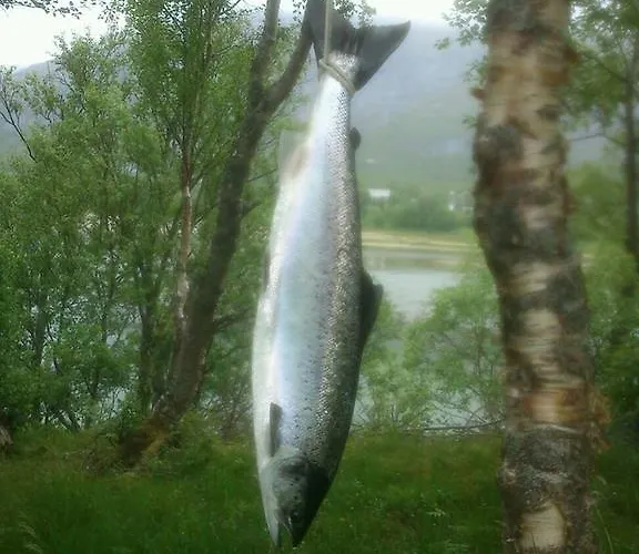 Aldeamento Turístico Kjellingstraumen Fjordcamp Nygardsjoen
