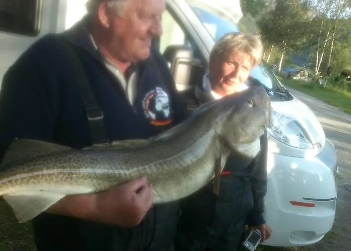 Kjellingstraumen Fjordcamp 3*